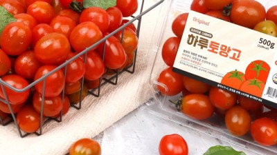 달콤한 유혹! 착한 가격의 스테비아대추토마토 후기