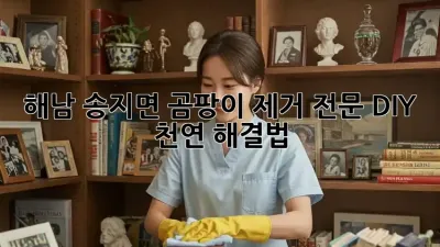 해남 송지면 곰팡이 제거 전문: DIY 천연 해결법!